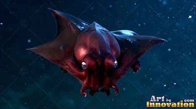A dark red squid spreads its webbed arms while swimming forward in rich blue ocean water