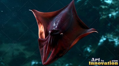 Gliding through shadowy water, a deep red vampire squid flares its webbed arms