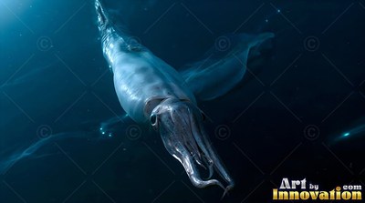 Angled downward in dark open blue water, a pale squid travels toward the front