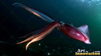 Red squid swimming through dim deep water with tentacles out