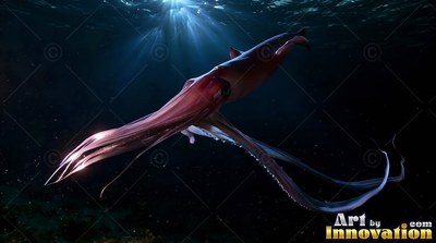 Gliding diagonally, a pink squid swims through navy blue ocean water
