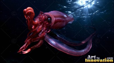 A big red squid swims in navy blue water under sunlight from above