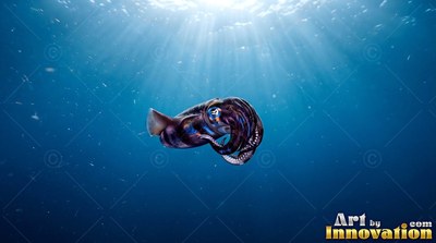 A squid curls its arms under shafts of sunlight piercing deep open blue water