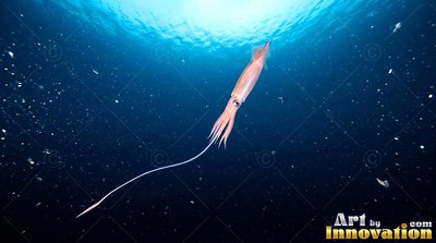 In sunlit rich blue water, a pale orange squid swims downward with one long tentacle trailing