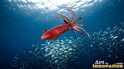 Curled red arms trail behind a squid drifting in sunlit open blue water over a school of fish