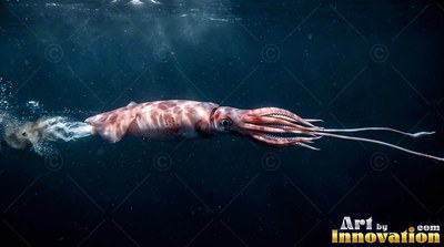 A reddish squid shoots through shadowy water, trailing bubbles behind it