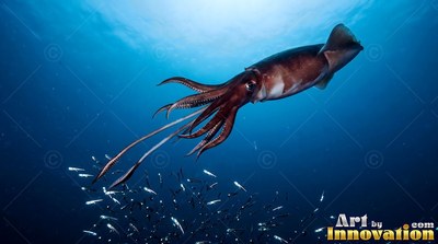 Swimming through deep blue ocean water, a reddish-brown squid hunts over small silver fish