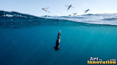A dark squid drifting underwater beneath flying fish in bright sunlight