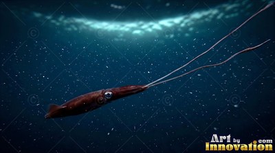 In deep blue sea, a dark reddish squid drifts with two long tentacles trailing