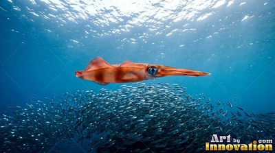 A reddish brown squid with large blue eyes swims above a school of fish in clear sea water