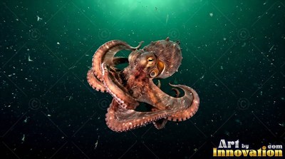 An octopus swims downward with curled arms through deep green sea water