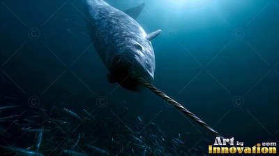 A gray narwhal swims down toward a school of small fish in dark blue water