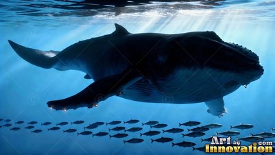 Knobby flippers stretch out as a dark whale passes under sunlit blue water