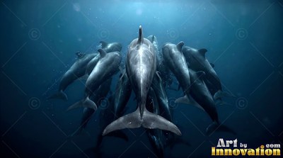A pod of gray whales swimming together down into deep blue water