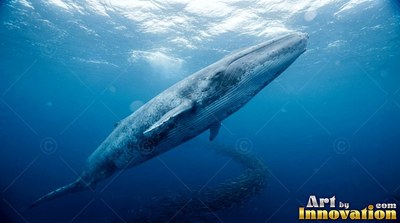 In sunlit blue water, a blue whale travels down toward a curved school of fish