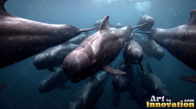 In dark blue ocean water, a pod of pilot whales swims together toward the surface