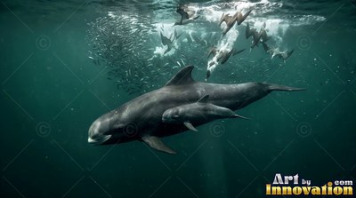 Two pilot whales swim beneath diving seabirds in dark greenish water
