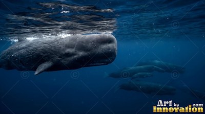 In deep blue sea water, a gray sperm whale moves near the surface