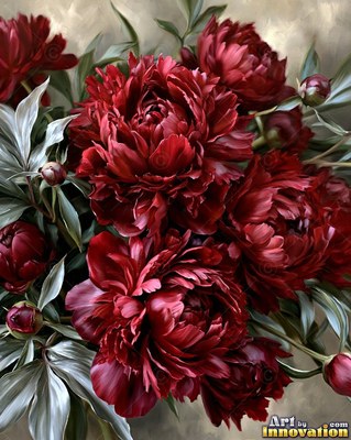 Bouquet of deep crimson peonies with silver-green leaves