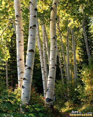 Autumn birch forest path with glowing golden leaves