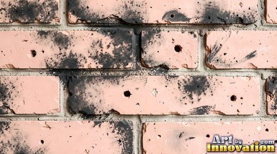 Weathered red brick wall with chipped corners and crumbling mortar, shot flat and evenly lit