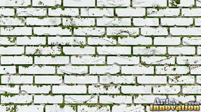 Basket weave brick paving in alternating pairs, a flat full frame surface