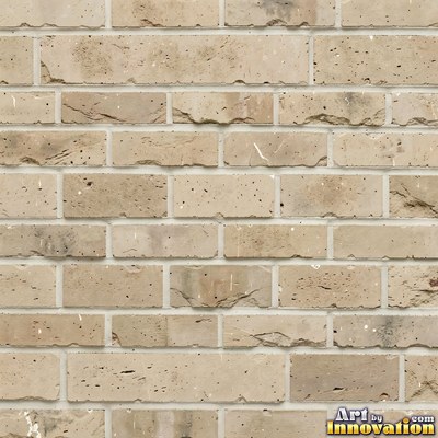 Weathered red brick wall with chipped corners and crumbling mortar, shot flat and evenly lit