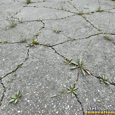 Worn asphalt with faded fragments of painted road lines