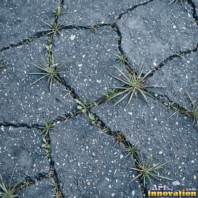 Wet asphalt glistening with small puddles in a greenish gray tone