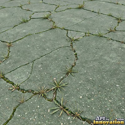 Wet asphalt glistening with small puddles in a greenish gray tone