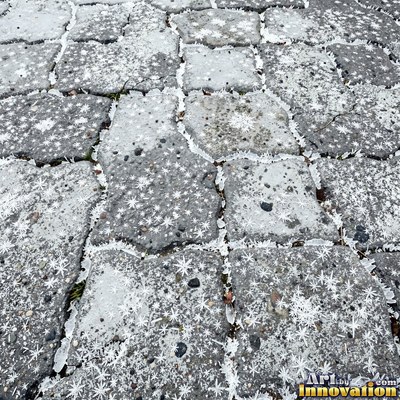 Wet asphalt glistening with small puddles in a greenish gray tone