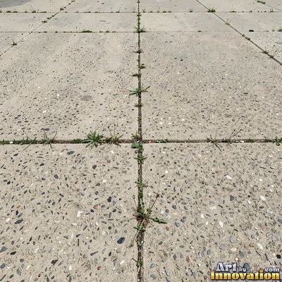 Fresh light gray asphalt with fine gravel texture, flat overhead view