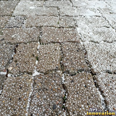 Fresh light gray asphalt with fine gravel texture, flat overhead view