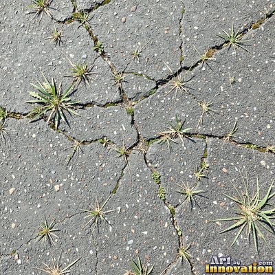 Wet asphalt glistening with small puddles in a greenish gray tone