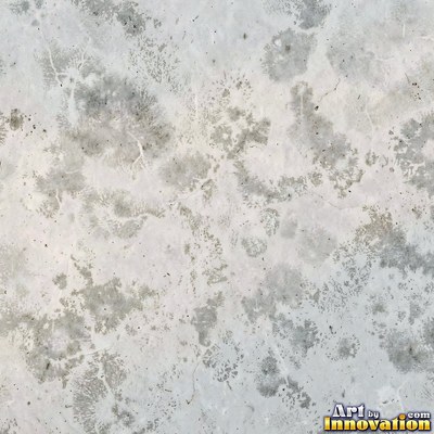 Acid washed concrete with mottled light and dark gray staining