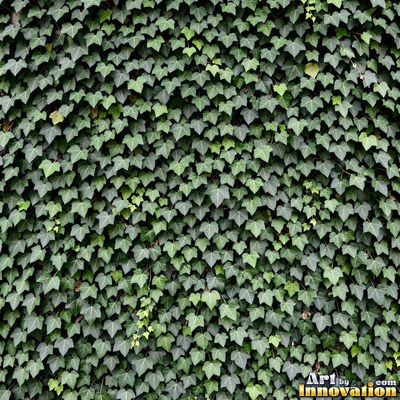 Layered tropical monstera leaves in blue green under even light