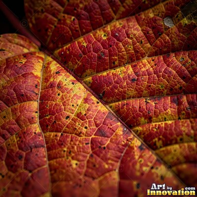 Fallen autumn leaves piled together in rust and sage tones