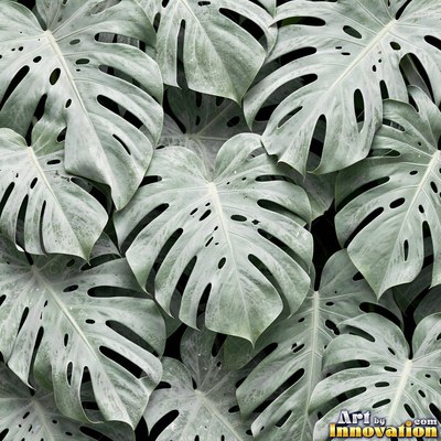 Overlapping fern fronds in dark emerald green filling the whole frame