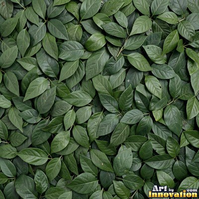 Ivy covering a wall edge to edge in olive green tones