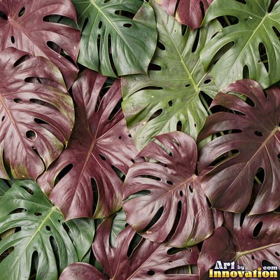 Layered tropical monstera leaves in blue green under even light