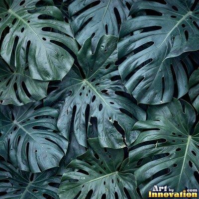 Overlapping fern fronds in dark emerald green filling the whole frame
