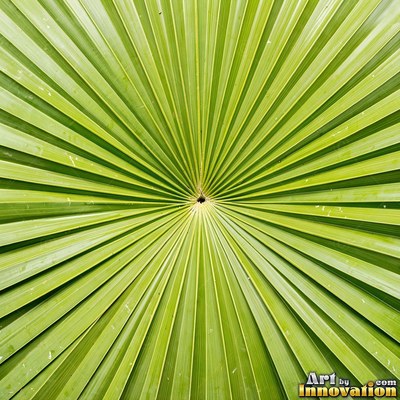 Layered tropical monstera leaves in blue green under even light
