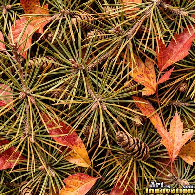 Fallen autumn leaves piled together in rust and sage tones