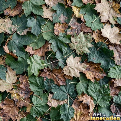 Ivy covering a wall edge to edge in olive green tones
