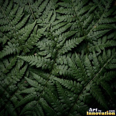 Layered tropical monstera leaves in blue green under even light