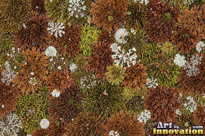 Patchwork of moss and lichen in rust brown autumn tones