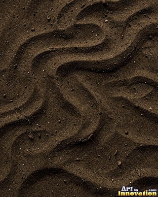 Pale golden wet sand with a shiny surface and tiny pits