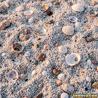 Pink sand marked with small swirls carved by the wind