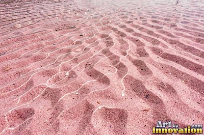Pale golden wet sand with a shiny surface and tiny pits