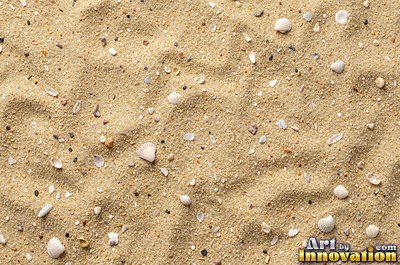 Pale golden wet sand with a shiny surface and tiny pits
